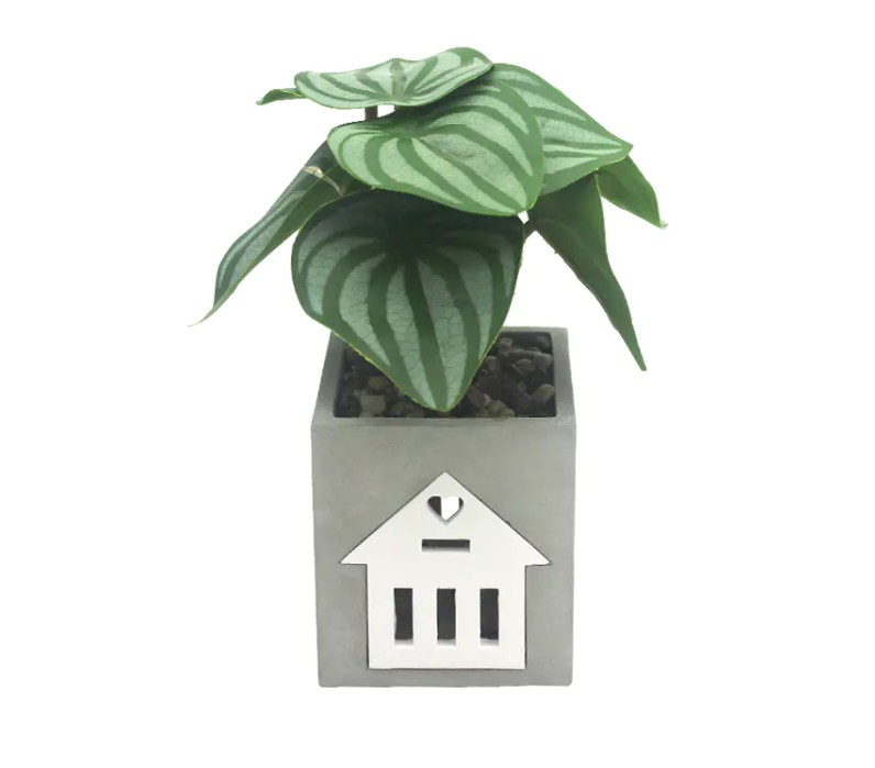 هل مصباح الأسمنت LED متوافق مع الأنظمة المنزلية الذكية ، للتحكم الصوتي والأتمتة؟